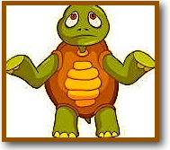 confused turtle