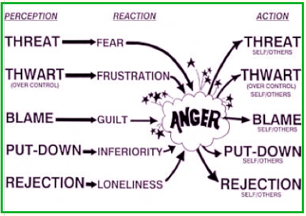 What are some common causes of anger?